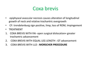 Coxa brevis
• epiphyseal avascular necrosis causes alteration of longitudinal
growth of neck and relative trochantric overgrowth
• CF: trendelenburg sign positive, limp, loss of ROM, Impingement
• TREATMENT
1. COXA BREVIS WITH FAI- open surgical dislocation+ greater
trochantric advancement
2. COXA BREVIS WITH EQUAL LEG LENGTH : GT advancement
3. COXA BREVIS WITH LLD : MORSCHER PROCEDURE
 