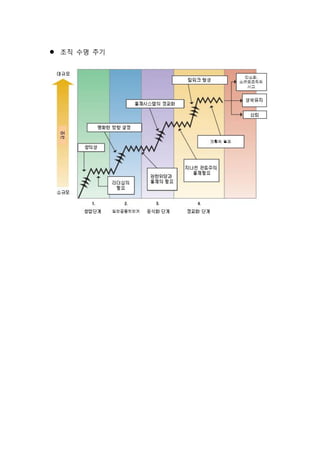  조직 수명 주기
 