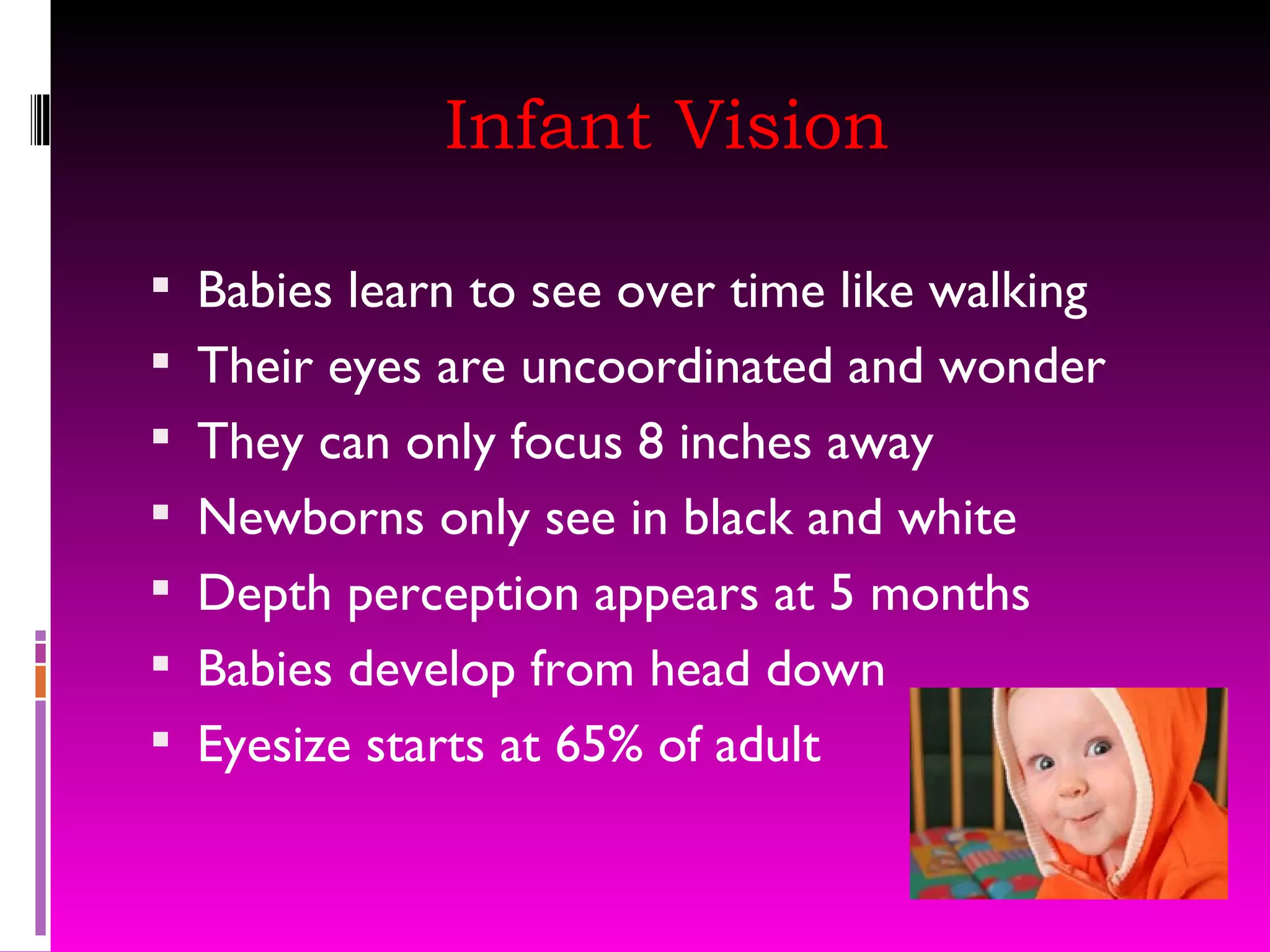Infant Vision Babies learn to see over time like walking Their eyes are uncoordinated and wonder They can only focus 8 inches away Newborns only see in black and white Depth perception appears at 5 months Babies develop from head down Eyesize starts at 65% of adult 
