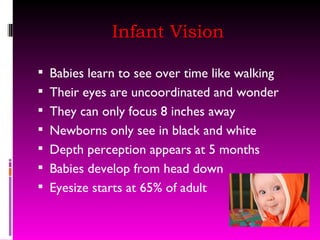Infant Vision Babies learn to see over time like walking Their eyes are uncoordinated and wonder They can only focus 8 inches away Newborns only see in black and white Depth perception appears at 5 months Babies develop from head down Eyesize starts at 65% of adult 