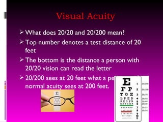 Visual Acuity What does 20/20 and 20/200 mean? Top number denotes a test distance of 20 feet The bottom is the distance a person with 20/20 vision can read the letter 20/200 sees at 20 feet what a person with normal acuity sees at 200 feet. 