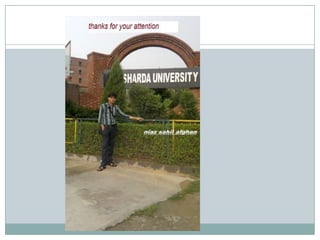 democracy vs dictatorship  / types of government 