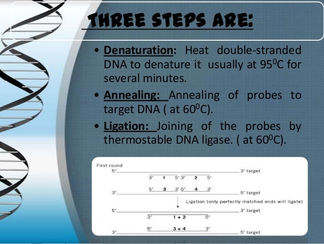 Ligase Chain Reaction(LCR)