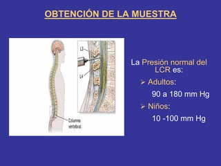 OBTENCIÓN DE LA MUESTRA
La Presión normal del
LCR es:
¾ Adultos:
90 a 180 mm Hg
¾ Niños:
10 -100 mm Hg
 