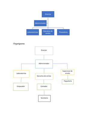 Organigrama
Director
Laboratoristas
Ejecutivo de
ventas
Provedores
Administrador
Director
Administrador
Laboratorista
Empacador
Ejecutivo de ventas
Contador
Secretaria
Supervisor de
envíos
Paquetería
 