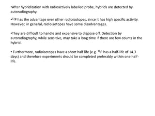 •After hybridization with radioactively labelled probe, hybrids are detected by
autoradiography.
•32P has the advantage over other radioisotopes, since it has high specific activity.
However, in general, radioisotopes have some disadvantages.
•They are difficult to handle and expensive to dispose off. Detection by
autoradiography, while sensitive, may take a long time if there are few counts in the
hybrid.
• Furthermore, radioisotopes have a short half life (e.g. 32P has a half-life of 14.3
days) and therefore experiments should be completed preferably within one half-
life.
 