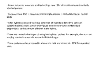 •Recent advances in nucleic acid technology now offer alternatives to radioactively
labelled probes.
•One procedure that is becoming increasingly popular is biotin labelling of nucleic
acids.
• After hybridization and washing, detection of hybrids is done by a series of
cytochemical reactions which finally gives a blue colour whose intensity is
proportional to the amount of biotin in the hybrid.
•There are several advantages of using biotinylated probes. For example, these assays
employ non-toxic materials, whose half-life is longer.
•These probes can be prepared in advance in bulk and stored at - 20°C for repeated
uses.
 