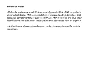 Molecular Probes
•Molecular probes are small DNA segments (genomic DNA, cDNA or synthetic
oligonucleotides) or RNA segments (often synthesized on DNA template) that
recognize complementary sequences in DNA or RNA molecules and thus allow
identification and isolation of these specific DNA sequences from an organism.
• Antibodies are also occasionally use as probes to recognize specific protein
sequences.
 