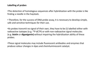 Labelling of probes
•The detection of homologous sequences after hybridization with the probe is like
finding a needle in the haystack.
• Therefore, for the success of DNA probe assay, it is necessary to develop simple,
safe and sensitive techniques for their use.
•As probes transmit no signal of their own, they have to be (i) labelled either with
radioactive isotopes (e.g. 32P dCTP) or with non-radioactive signal molecules
(e.g. biotin or digoxigenin) without impairing the hybridization ability of these
probes.
•These signal molecules may include fluorescent antibodies and enzymes that
produce colour changes in dyes and chemiluminescent catalyst.
 