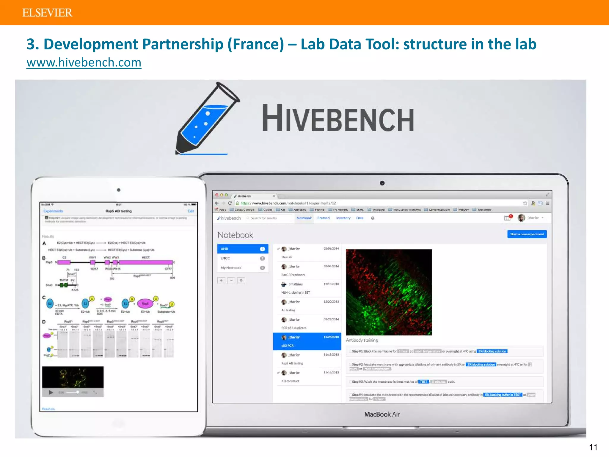 3. Development Partnership (France) – Lab Data Tool: structure in the lab
www.hivebench.com
11
 