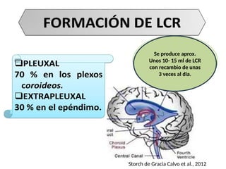 LCR en la edad pediatrica, diferencias con el adultos | PPTX