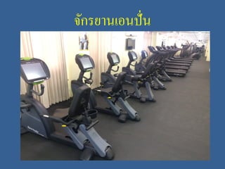 จักรยานเอนปั่น
 