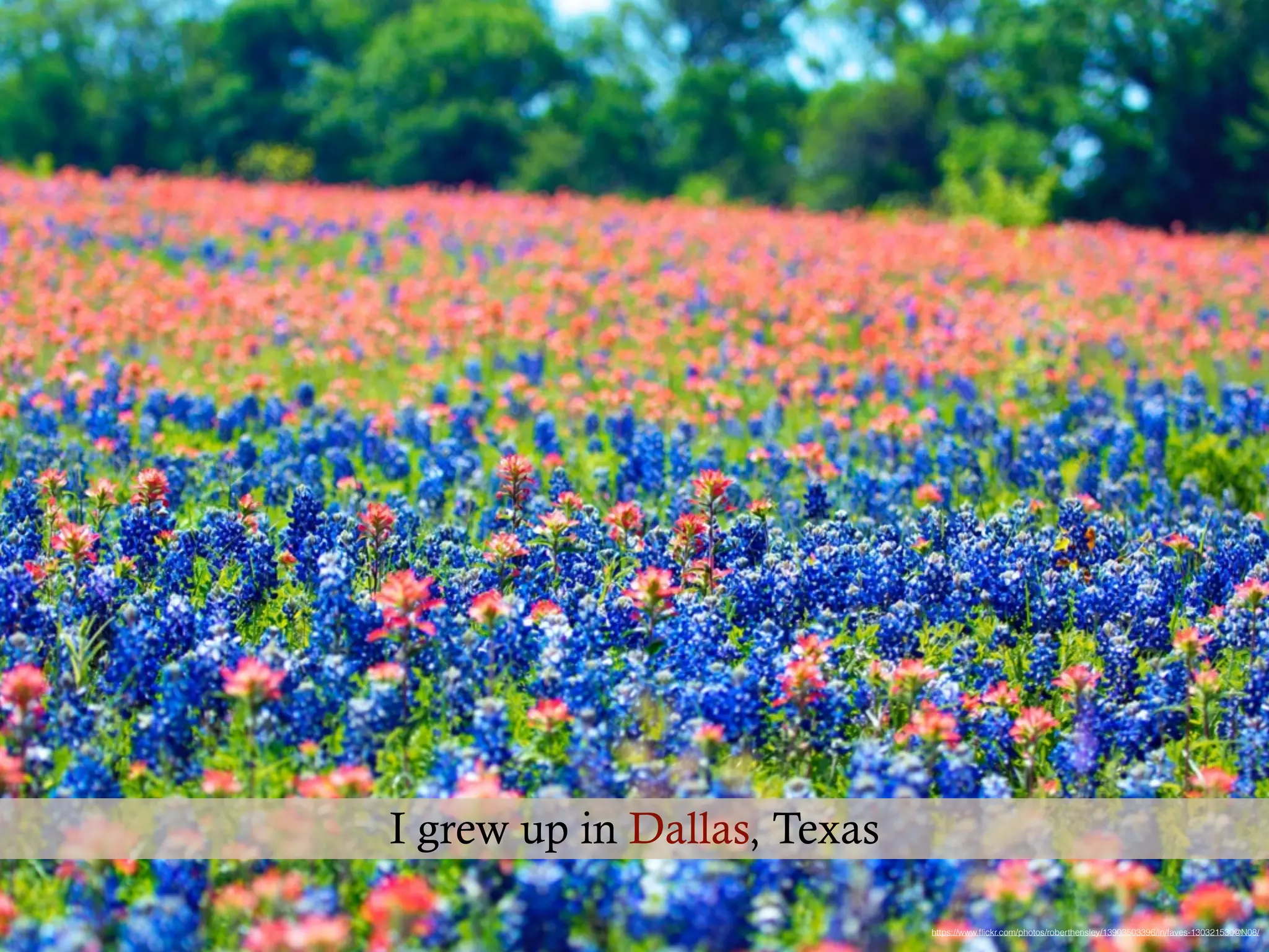https://www.ﬂickr.com/photos/roberthensley/13903503396/in/faves-130321530@N08/
I grew up in Dallas, Texas
 