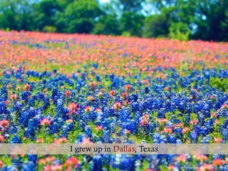 https://www.ﬂickr.com/photos/roberthensley/13903503396/in/faves-130321530@N08/
I grew up in Dallas, Texas
 