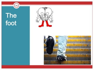 10




The
foot
 