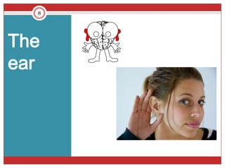 8




The
ear
 