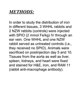 METHODS:
In order to study the distribution of iron
in different tissues, 3 WHHL rabbits and
2 NZW rabbits (controls) were injected
with SPIO (2 mmol Fe/kg) IV through an
ear vein. One WHHL and one NZW
rabbit served as untreated controls (i.e.,
they received no SPIO). Animals were
sacrificed on postinjection day 5 and 10.
Tissues from the aorta as well as liver,
spleen, kidneys, and heart were fixed
and stained for H&E, iron, and RAM 11
(rabbit anti-macrophage antibody).
 