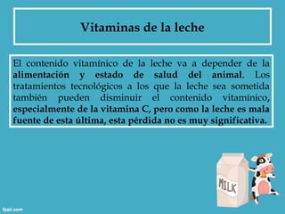 Vitaminas de la leche

El contenido vitamínico de la leche va a depender de la
alimentación y estado de salud del animal. Los
tratamientos tecnológicos a los que la leche sea sometida
también pueden disminuir el contenido vitamínico,
especialmente de la vitamina C, pero como la leche es mala
fuente de esta última, esta pérdida no es muy significativa.
 