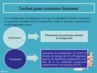 Leches para consumo humano

Los tratamientos tecnológicos a los que es sometida la leche cruda para
su posterior distribución al consumidor final se pueden esquematizar
en los siguientes pasos:


                                 Eliminación de partículas extrañas
   Clarificación                          (Centrigufado)




                              Aplicación de temperatura de 62-65 ºC
                              durante un tiempo de 10 a 20 segundos,
   Termización                seguida de inmediata refrigeración a no
                              más de 4 ºC, debiendo conservarse
                              posteriormente a un máximo de 8 ºC
 