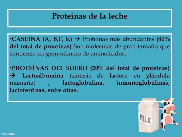 Lácteos
