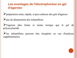 Les avantages de l'électrophorèse en gel
    d'agarose

préparation aisée, rapide, et peu coûteuse des gels d'agarose
pas de dénaturation des échantillons
l'agarose plus ferme et moins toxique que le gel                de
polyacrylamide

les   échantillons peuvent être récupérés en vue d'analyses
supplémentaires
 