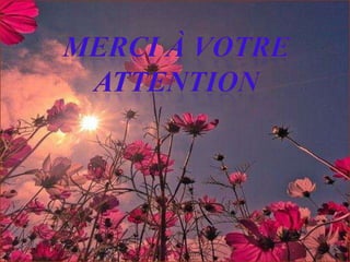 éLéctrophorèse d'adn