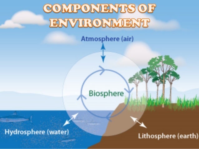component-of-environment