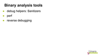 Binary analysis tools 
● debug helpers: Sanitizers 
● perf 
● reverse debugging 
 