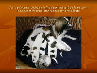 Ceci a préoccupé Debby qui a finalement accepté de faire sortir l’écureuil et les liens inter-raciaux ont ainsi débuté. 