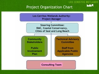 Project Organization Chart Consulting Team Community Stakeholders Public Involvement Plan Technical Advisory Committee Sta...