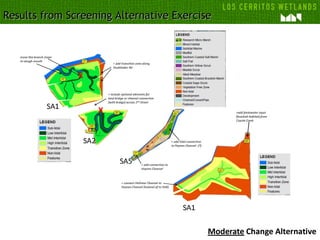Results from Screening Alternative ExerciseResults from Screening Alternative Exercise
 