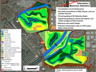 • Consolidation of oil infrastructure
• New tidal connections to SGR, Haynes, and Los
Cerritos Channel
• Fill and grading of OC Retention Basin
• Significant grading to remove fill material and
create contiguous tidal channels
• Maximum salt marsh habitat
• Potential interpretative sites on OTD and/or
State Lands parcels
*
Conceptual/Draft
or
elevated 2nd
Street
*Note: trail locations are in draft
 