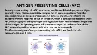 ANTIGEN PRESENTING CELLS (APC)
An antigen-presenting cell (APC) or accessory cell is a cell that displays an antigen
bound by major histocompatibility complex (MHC) proteins on its surface; this
process is known as antigen presentation.It detects, engulfs, and informs the
adaptive immune response about an infection. When a pathogen is detected, these
APCs will phagocytose the pathogen and digest it to form many diﬀerent fragments
of the antigen. Antigen fragments will then be transported to the surface of the
APC, where they will serve as an indicator to other immune cells.
The three main types of antigen-presenting cells (APCs) are dendritic cells,
macrophages, and B cells.
 