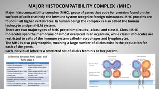 MAJOR HISTOCOMPATIBILITY COMPLEX (MHC)
Major histocompatibility complex (MHC), group of genes that code for proteins found on the
surfaces of cells that help the immune system recognize foreign substances. MHC proteins are
found in all higher vertebrates. In human beings the complex is also called the human
leukocyte antigen (HLA) system.
There are two major types of MHC protein molecules—class I and class II. Class I MHC
molecules span the membrane of almost every cell in an organism, while class II molecules are
restricted to cells of the immune system called macrophages and lymphocytes.
The MHC is also polymorphic, meaning a large number of alleles exist in the population for
each of the genes.
Each individual inherits a restricted set of alleles from his or her parent.
 