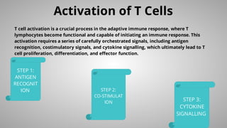 Activation of T Cells
T cell activation is a crucial process in the adaptive immune response, where T
lymphocytes become functional and capable of initiating an immune response. This
activation requires a series of carefully orchestrated signals, including antigen
recognition, costimulatory signals, and cytokine signalling, which ultimately lead to T
cell proliferation, diﬀerentiation, and eﬀector function.
STEP 1:
ANTIGEN
RECOGNIT
ION STEP 2:
CO-STIMULAT
ION
STEP 3:
CYTOKINE
SIGNALLING
 