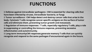 FUNCTIONS
Defense against intracellular pathogens : CMI is essential for clearing cells that
have been infected by viruses, intracellular bacteria, or fungi.
Tumor surveillance : CMI helps detect and destroy cancer cells that arise in the
body. Cytotoxic T cells recognize cancer-speciﬁc antigens on the surface of tumor
cells and eliminate them, preventing tumor growth and metastasis.
Regulation of immune responses: : T cells, especially regulatory T cells, play a role
in suppressing or controlling the immune response, preventing excessive
inﬂammation and autoimmunity.
Long-term immunityCMI responses generate memory T cells that can quickly
recognize and respond to the same pathogen if encountered again in the future.
 