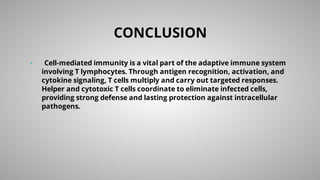 CONCLUSION
• Cell-mediated immunity is a vital part of the adaptive immune system
involving T lymphocytes. Through antigen recognition, activation, and
cytokine signaling, T cells multiply and carry out targeted responses.
Helper and cytotoxic T cells coordinate to eliminate infected cells,
providing strong defense and lasting protection against intracellular
pathogens.
 