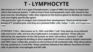 T - LYMPHOCYTE
Also known as T cell, it is a type of lymphocytes ( a type of WBC) that plays an important
role in the immune system. T cells are born from hematopoietic stem cells, found in the
bone marrow. Developing T cells, then migrate to the thymus gland to develop (or mature)
and react highly speciﬁcally agains
t the particular type of antigen that initiated their development. There are three main
groups of T- lymphocytes, and they are cytotoxic/killer cells, Helper T cells, and Suppressor
cells.
CYTOTOXIC T CELL~ Also known as Tc, CD8+ and killer T cell. They destroy virus-infected
cells and tumor cells, and are also implicated in transplant rejection. These cells are
deﬁned by the expression of the CD8 protein on their cell surface. Cytotoxic T cells
recognize their targets by binding to short peptides (8-11 amino acids in length) associated
with MHC class I molecules, present on the surface of all nucleated cells. They also produce
the key cytokines IL-2 and IFNγ. These cytokines inﬂuence the eﬀector functions of other
cells, in particular macrophages and NK cells.
 