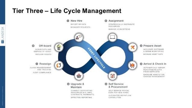 software life cycle