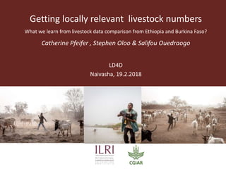Getting locally relevant livestock numbers
What we learn from livestock data comparison from Ethiopia and Burkina Faso?
Catherine Pfeifer , Stephen Oloo & Salifou Ouedraogo
LD4D
Naivasha, 19.2.2018
 