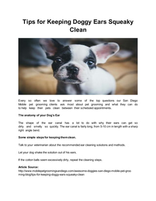 Tips for Keeping Doggy Ears Squeaky
Clean
Every so often we love to answer some of the top questions our San Diego
Mobile pet grooming clients ask most about pet grooming and what they can do
to help keep their pets clean between their scheduled appointments.
The anatomy of your Dog’s Ear
The shape of the ear canal has a lot to do with why their ears can get so
dirty and smelly so quickly. The ear canal is fairly long, from 5-10 cm in length with a sharp
right angle bend.
Some simple steps for keeping themclean.
Talk to your veterinarian about the recommended ear cleaning solutions and methods.
Let your dog shake the solution out of his ears.
If the cotton balls seem excessively dirty, repeat the cleaning steps.
Article Source:
http://www.mobilepetgroomingsandiego.com/awesome-doggies-san-diego-mobile-pet-groo
ming-blog/tips-for-keeping-doggy-ears-squeaky-clean
 