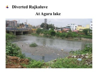 Diverted Rajkaluve
At Agara lake
 
