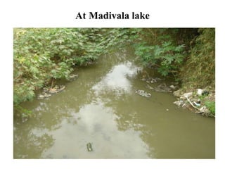 At Madivala lake
 