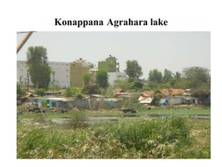 Konappana Agrahara lake
 