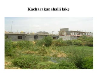 Kacharakanahalli lake
 