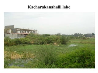 Kacharakanahalli lake
 