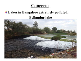 Concerns
Lakes in Bangalore extremely polluted.
Bellandur lake
 