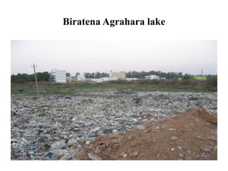 Biratena Agrahara lake
 