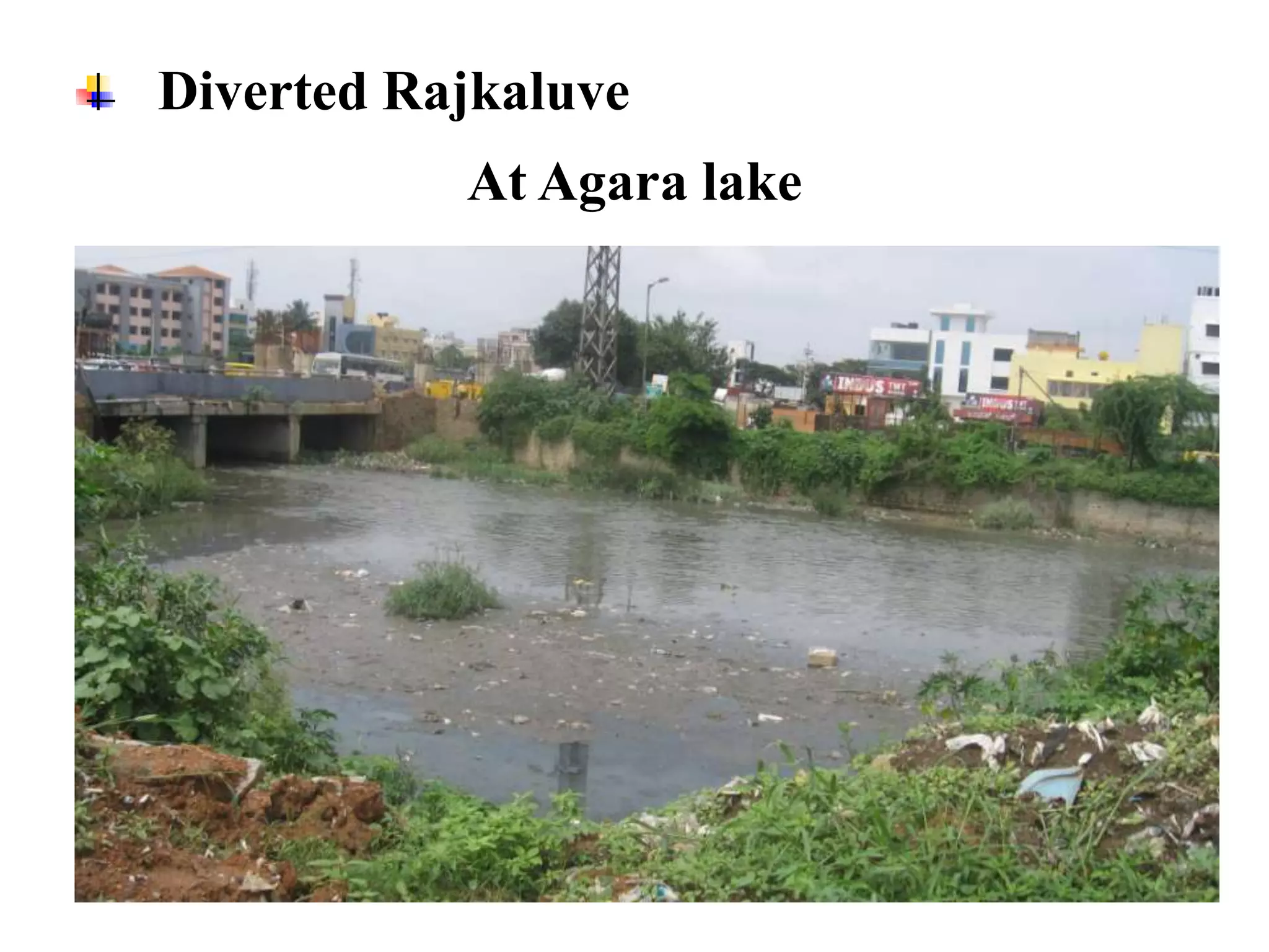 Diverted Rajkaluve
           At Agara lake
 