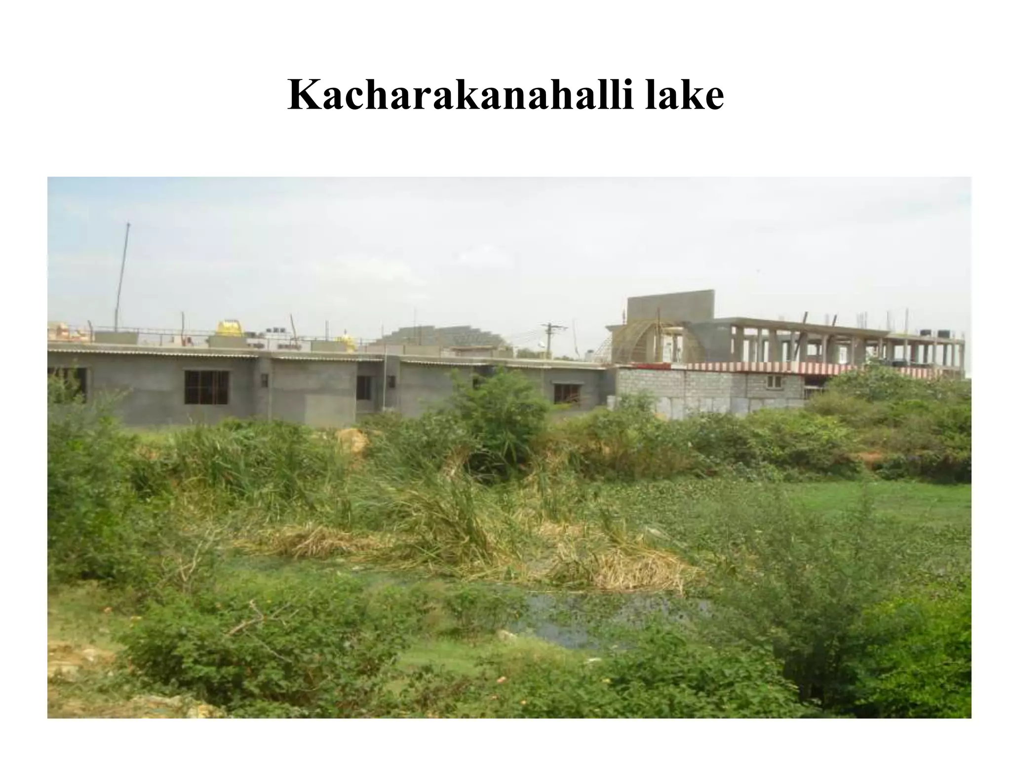 Kacharakanahalli lake
 
